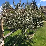 Сasa de vacaciones Krzywiec - Pasieka Na Szlaku Kopernika