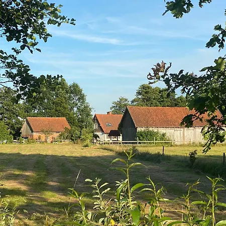 Krzywiec - Pasieka Na Szlaku Kopernika